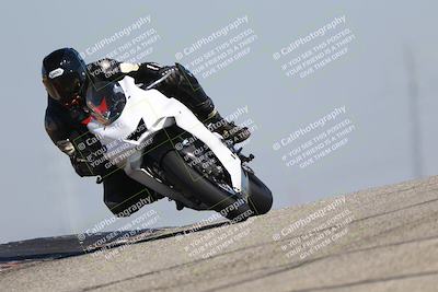 media/Mar-24-2025-2WTD (Mon) [[55b4b08488]]/A Group/11am (Outside Grapevine)/